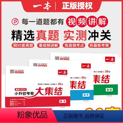 3本[考卷大集结]语文+数学+英语 小学升初中 [正版]2024新版小升初冲刺新卷考卷大集结冲刺新卷语文数学英语小学毕业