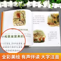 [正版]3本40元彼得兔的故事绘本小学生一年级注音版有声读物蜗牛故事绘儿童故事书读物幼儿园早教启蒙3-6-12周岁课外