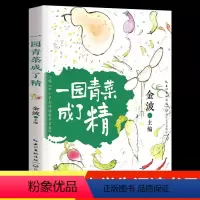 一园青菜成了精 [正版]一园青菜成了精注音版 金波 主编入选《中小学生阅读指导目录》一年级二年级小学生课外阅读书籍儿童绘