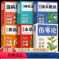 [正版]全6册 黄帝内经伤寒论温病条辨神农本草经汤头歌诀本草纲目中医书籍大全彩图典藏医药大全中草药中药养生原版全集基础