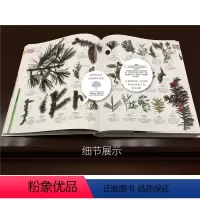 DK100个科学问题 [正版]DK博物大百科