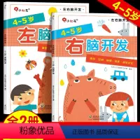 [正版]邦臣小红花左右脑开发书4-5岁儿童专注力逻辑思维训练书全脑开发大脑左脑开发右脑开发训练书籍智力大开发脑力幼儿益
