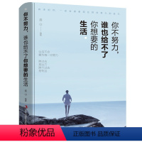 [正版]你不努力谁也给不了你想要的生活 健康阅读耐久保存质感封面印刷清晰 努力成为你想成为的那个人青少年正能量励志小说