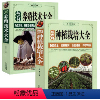 [正版]新农村种植栽培+养殖技术大全全2册 农业基础科学书籍 新农村健康生态科学畜牧动物疾病预防诊断治疗一本通大棚种植