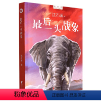 最后一头战象 [正版]书店 图书沈石溪新作 海豚之歌 狼王梦作者沈石溪动物小说全集 儿童长篇海洋题材温暖动物小说文学书籍