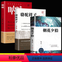 [全3册]呐喊+朝花夕拾+骆驼祥子 [正版]呐喊+骆驼祥子+朝花夕拾全3册 鲁迅经典作品文集 现代现实主义文学小说 青少