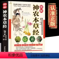 [正版]图解神农本草经彩图版平装医学类书籍医书 中医调理中草药大全书48书籍 中医古籍出版社