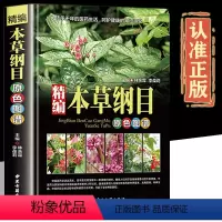 [正版]精装本草纲目李时珍全集彩图图解本草纲目彩图版 李时珍原著中医养生书籍大全 中草药书 神农本草经中医基础理论书畅