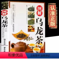 [正版]图解乌龙茶茶文化书 识茶品茶泡茶图解 中国茶道文化书籍 轻松认识乌龙茶 茶文化百科图解 喝茶养生书