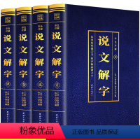 [正版]彩色详解版全4册说文解字许许慎撰原版未删减彩色详解古代汉语字典古文字字典咬文嚼字细说汉字的故事图解画说汉字的书