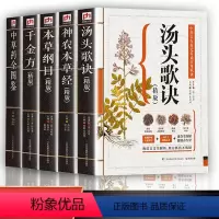 [正版]全套5册 汤头歌诀+本草纲目+神农本草经+千金方+中草药全图鉴全套原著中医书籍大全彩图中医理论基中草药书籍家庭