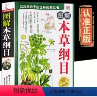 [正版]精编全译彩图版图解本草纲目彩图版李时珍原著中医养生书籍大全 书 中草药书入门医学书籍中医四大名著黄帝内经中医基