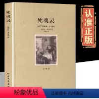 死魂灵 [正版]死魂灵 完整版无删减 果戈理 中文原版原著全译本世界经典名著小说外国文学书籍 中小学生阅读文集 初高中通