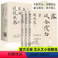 [全3册]沈从文精选集-生活不必慌张 [正版]沈从文小说精选生活不必慌慌张张沈从文散文创作三部曲露从今夜白萤火续流光坐看