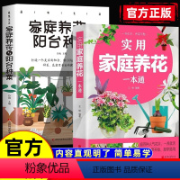 2本]阳台种菜/家庭养花 [正版]实用家庭养花一本通家庭养花与阳台种菜彩图详解花卉养护知识养花教程花卉知识介绍种植栽培修