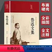 [正版]布面精装鲁迅全集 原著经典无删减彩色插图版朝花夕拾鲁迅杂文集小说集散文集呐喊彷徨野草故乡故事狂人日记现代文学书
