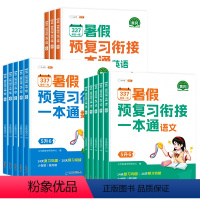 [暑假衔接一本通]语文+数学+英语 三升四 [正版]2024新版暑假衔接一升二升三升四升五升六年级下册语文数学英语全套人