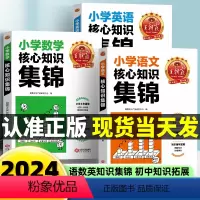 核心知识集锦[语文+数学+英语](不偏科) 小学通用 [正版]小学核心知识集锦语文数学英语重点知识大全大盘点一年级二年级