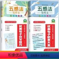 优美句子+方法技巧+五感法 小学通用 [正版]优美句子积累大全小学语文修辞手法专项句式强化训练好词好句好段小学生一年级二