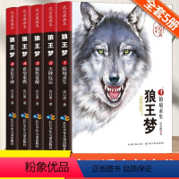 沈石溪》狼王梦(全套5册) [正版]草房子原著曹文轩画本小学生课外阅读书籍全套3册适合二三四五六年级上册下册儿童文学杂志