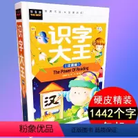 [正版]儿童识字书籍 幼儿园学前1442个字 幼升小常用字生字题卡有图识字 2-3-4-6岁宝宝早教看图认字汉字学习书