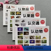 [正版]4册宝宝可爱早教书认动物交通工具水果蔬菜认日常用品启蒙翻翻书 0-1-2-3岁婴儿大图大字绘本 幼儿书籍看图认
