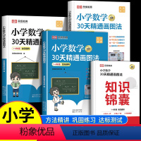 [全4册]小学数学30天精通画图法 小学通用 [正版]小学数学30天精通画图法全套通用版一二三四五六年级上下册数学专项思