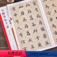 [正版]文徵明小楷草堂十志 名家墨宝选粹临帖放大本附墨迹局部 毛笔文征明楷书字帖附简体旁注武鄂编小楷放大本初学者书法字