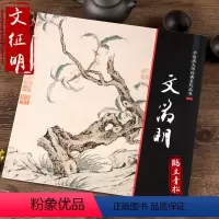 [正版]中国画大师经典系列丛书文徵明文征明画集画册桃源问津图山水小品画谱画集历代名家册页写意花鸟画艺术图书书籍