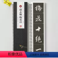 [正版]赵孟頫梅花诗名家碑帖近距离临摹字卡单字放大版米字格附旁注赵体行书毛笔书法字帖成人学生临摹范本