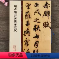 [正版]赵孟頫书前后赤壁赋 碑帖珍品临摹本 繁体旁注 精美放大版 行书毛笔书法字帖 孙宝文编著 吉林出版大八开原帖原色