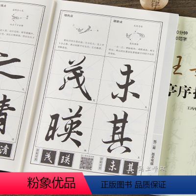 [正版]王羲之兰亭序技法精解 软笔临摹 书法艺术 字帖碑帖 行书毛笔书法字帖教程视频解析北京体育大学出版社