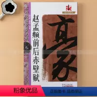 [正版] 赵孟頫前后赤壁赋 8开全文单字放大 赵孟俯行书毛笔字帖 简体旁注名碑名帖完全大观 带偏旁部首解析 江西美术