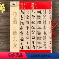 [正版] 赵孟頫六体千字文 16开铜版彩印 元代大篆小篆隶书章草楷书草书 附繁体旁注 天下墨宝 毛笔软笔六体书法字帖