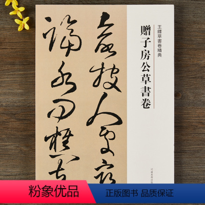 [正版]赠子房公草书卷 王铎草书卷 繁体译文 毛笔字帖书法成人临摹碑帖古帖墨迹本拓本鉴赏丛帖书籍 河南美术出版社