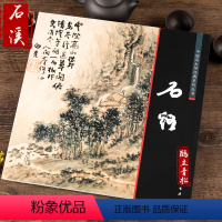 [正版]中国画大师经典系列丛书 石溪 髡残 明末清初画家 艺术图书书籍