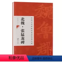 [正版] 中国古代碑帖经典彩色放大本22 北魏张猛龙碑 简体旁注 毛笔楷书书法练字帖 邱振中陈政主编江西美术出版社