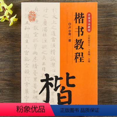 [正版]中国书法教程·楷书教程卢中南著书法理论书籍楷书入门教程