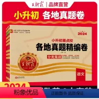 [2024新版]各地真题语数英3本套装 小学升初中 [正版]小升初真题卷2024新版小升初刷题小学升初中重点校各地真题精