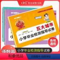 [十五大沿海城市]语文+数学+英语 小学通用 [正版]城市卷小升初五大十大十五大城市小学毕业检测指导卷真题初中招生考试语