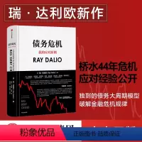 [正版]债务危机 瑞达利欧 RayDalio我的应对原则 原则应对变化中的世界秩序 债务危机达利欧 投资管理出版社图