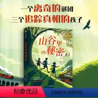 山谷里的秘密 [正版]7-14岁山谷里的秘密 莱斯利帕尔著 一个离奇的谜团 三个追踪真相的孩子 提名卡内基文学奖
