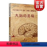 [正版]大脑的奥秘 中国科学院神经科学研究所 脑疾病 临床参考工具书 人体 科普读物 图书籍 上海科学技术出版社 世纪