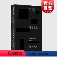 [正版]2023豆瓣年度书单漆中之黑 杜可风著自传体随笔记王家卫御用名家摄影师电影艺术上海文艺代表作重庆森林花样年华2