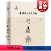 [正版]中国考古学大辞典 王巍总主编 文物考古 哲学社会科学 图书籍 上海辞书 世纪出版