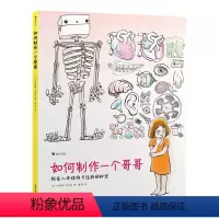 如何制作一个哥哥 [正版] 如何制作一个哥哥 人体结构书儿童3-6-8-12岁知识百科书籍 科学益智科普绘本少儿读物