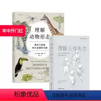 [正版] 理解人体形态+理解动物形态 2册套装 实用素描解剖人体结构书 形态解剖 美术入门自学绘画速写教程