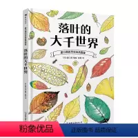 落叶的大千世界 [正版]浪花朵朵 盛口满的手绘自然图鉴 落叶的大千世界 7-10岁 落叶植物 日本童书研究会 科普百