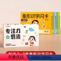[组合]划消卡+3盒象形识字闪卡 [正版]幼儿象形识字闪卡幼儿园专注力划消卡儿童小学生图形认知记忆力幼小衔接早教教具