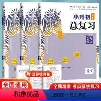 [小升初总复习]语数英 3本(全国版) 小学升初中 [正版]2024木头马小升初总复习语文数学英语小学语文知识大全盘点名